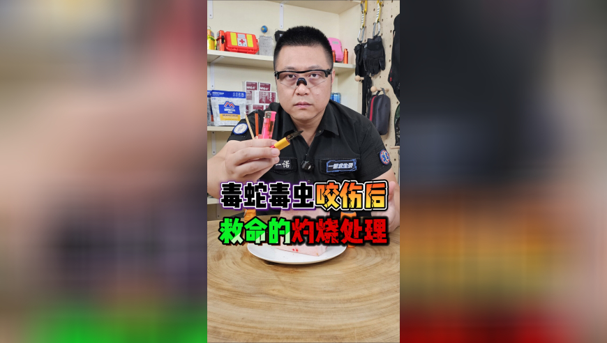 中国制造硬核出圈,天空彩免费资料内幕资料和资料公开,确保成语解释落实的问题_工具版V5.8
